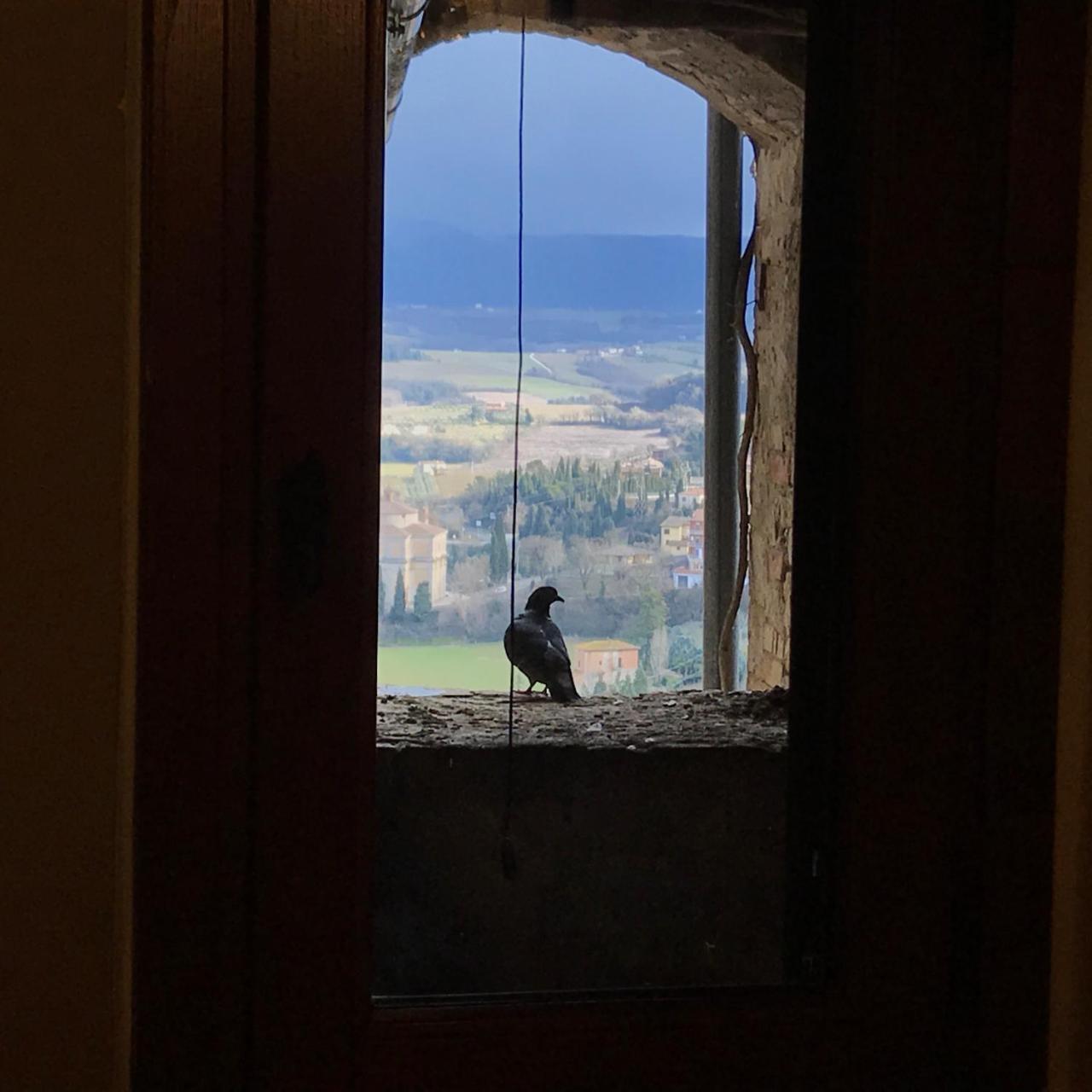 Residenza Teatro Antico Hotel Todi Eksteriør billede